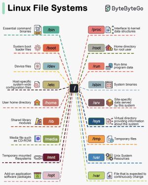 Linux file system explained.jpeg